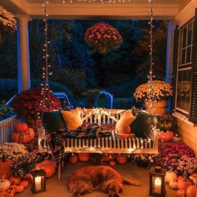 满堂彩手机app下载